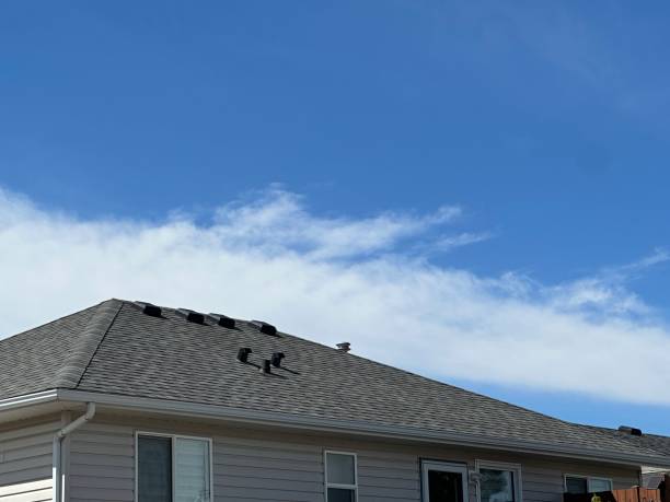 Best Asphalt Shingle Roofing  in Suncook, NH